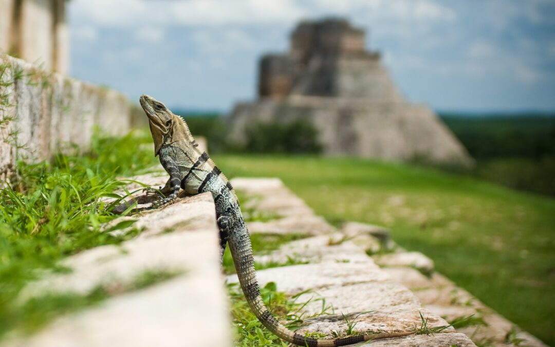 Climb Pyramids in the Yucatan